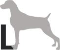 Размеры собак таблица размеров для собак средних пород